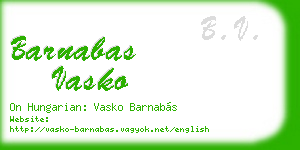 barnabas vasko business card